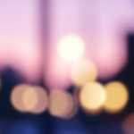 認定農業者・再認定申請を提出しました