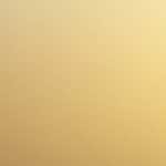 新・農業人フェア