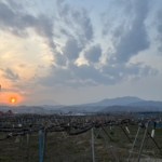 信州中野つどい農園11年目