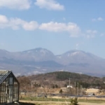 今週も始まりました